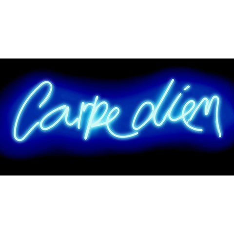 Neon Carpe Diem BB Gold Ornate Wood Framed Art Print with Double Matting by Carr, Hailey