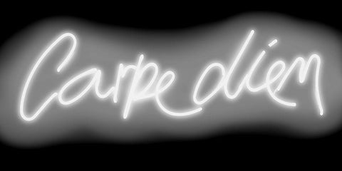 Neon Carpe Diem WB White Modern Wood Framed Art Print with Double Matting by Carr, Hailey