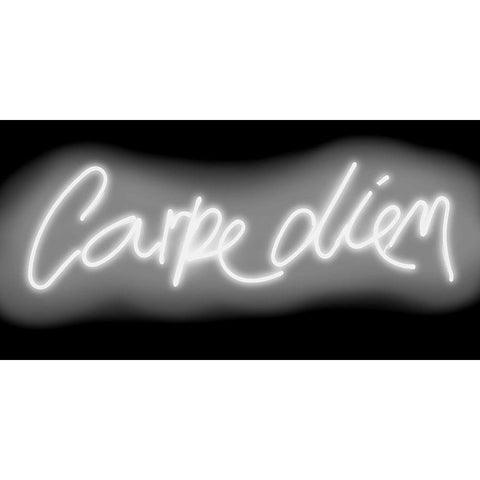 Neon Carpe Diem WB Black Modern Wood Framed Art Print with Double Matting by Carr, Hailey