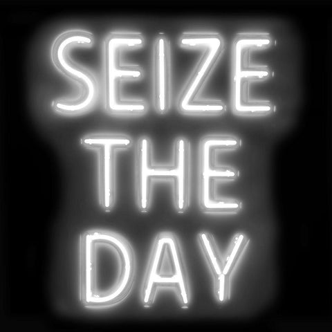 Neon Seize The Day WB Black Ornate Wood Framed Art Print with Double Matting by Carr, Hailey