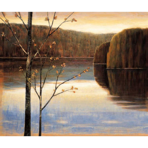 Lakeside I White Modern Wood Framed Art Print by Adams, Justin