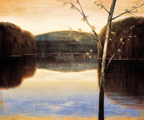 Lakeside II Black Ornate Wood Framed Art Print with Double Matting by Adams, Justin