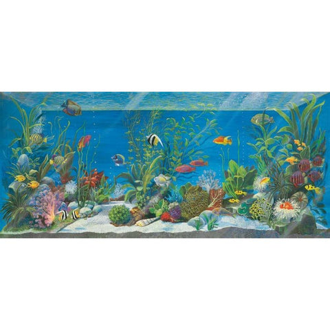 Acquario White Modern Wood Framed Art Print by Cuccato, Isabella