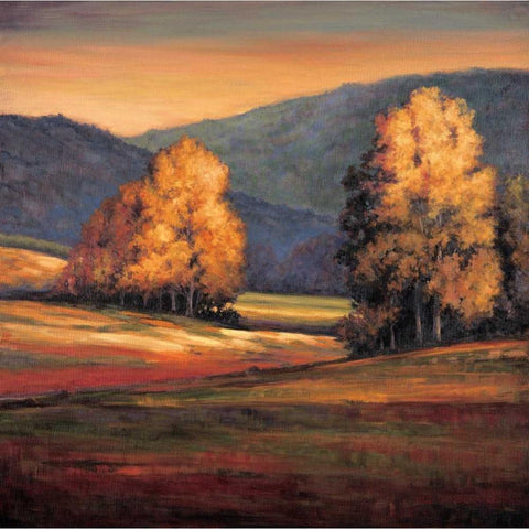 In All Its Glory II White Modern Wood Framed Art Print by Leonard, Jeffrey