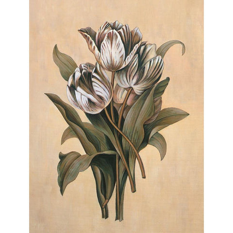 Tulips I Black Modern Wood Framed Art Print by Deveraux, Jill