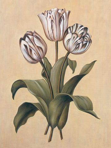 Tulips II White Modern Wood Framed Art Print with Double Matting by Deveraux, Jill