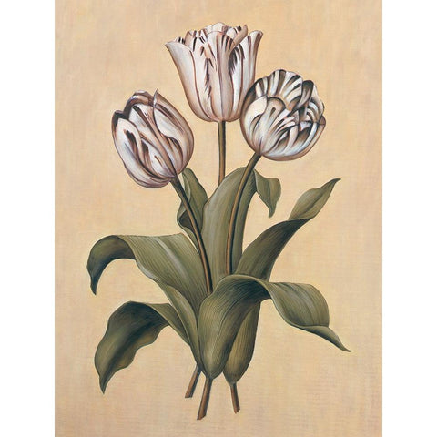 Tulips II Black Modern Wood Framed Art Print by Deveraux, Jill