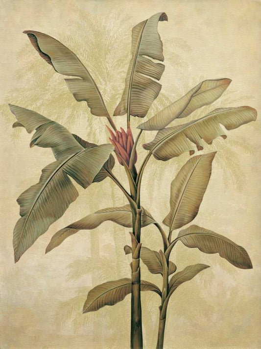 Image Only