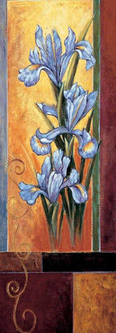 Iris Black Ornate Wood Framed Art Print with Double Matting by Deveraux, Jill