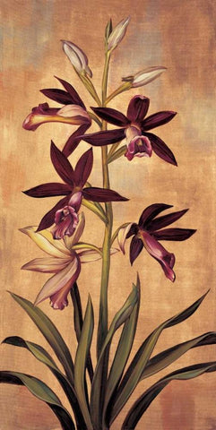 Burgundy Orchid Black Ornate Wood Framed Art Print with Double Matting by Deveraux, Jill