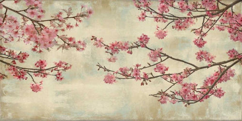 Cherry Blossoms Black Ornate Wood Framed Art Print with Double Matting by Seba, John