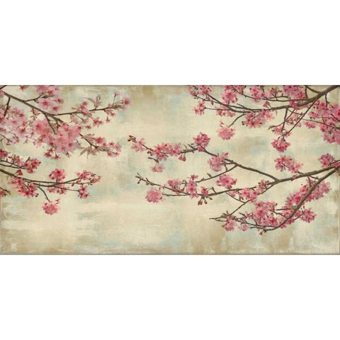 Cherry Blossoms Black Modern Wood Framed Art Print by Seba, John