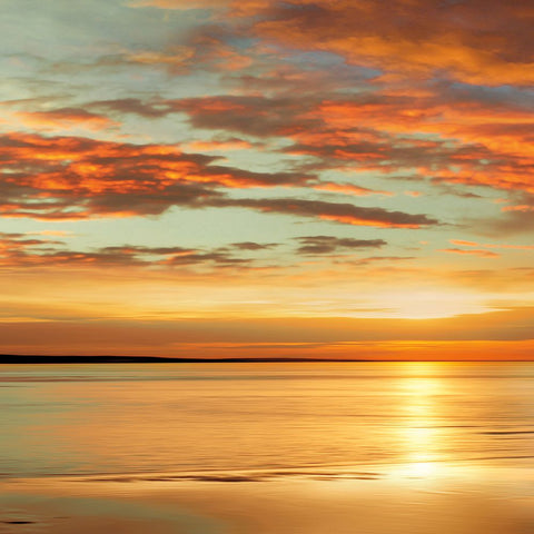 Sunlit I Black Modern Wood Framed Art Print by Seba, John