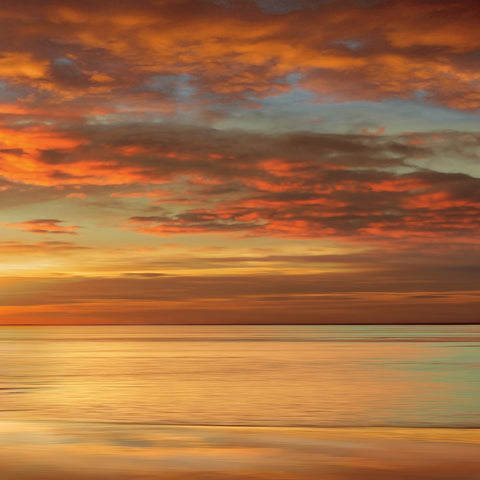 Sunlit II Black Ornate Wood Framed Art Print with Double Matting by Seba, John