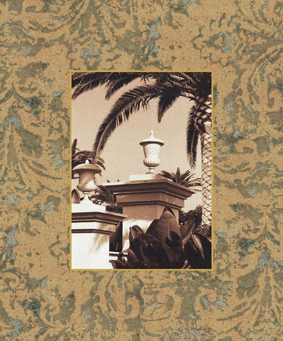 St. Regis I Black Ornate Wood Framed Art Print with Double Matting by Seba, John