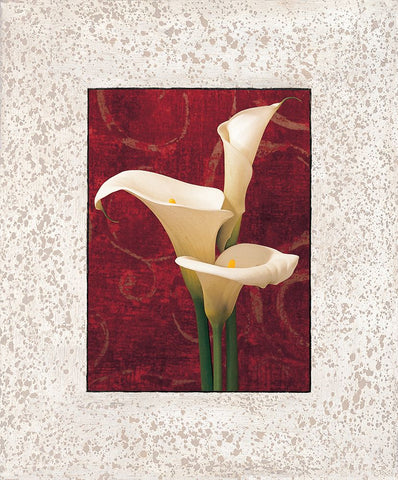 Calla Lilies White Modern Wood Framed Art Print with Double Matting by Seba, John