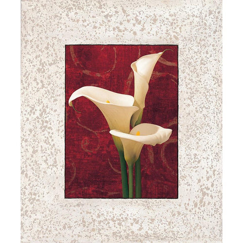 Calla Lilies Black Modern Wood Framed Art Print with Double Matting by Seba, John