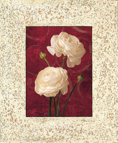 Ranunculus Black Ornate Wood Framed Art Print with Double Matting by Seba, John
