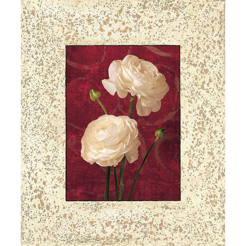 Ranunculus Black Modern Wood Framed Art Print by Seba, John