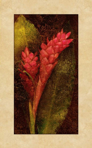 Ginger Black Ornate Wood Framed Art Print with Double Matting by Seba, John