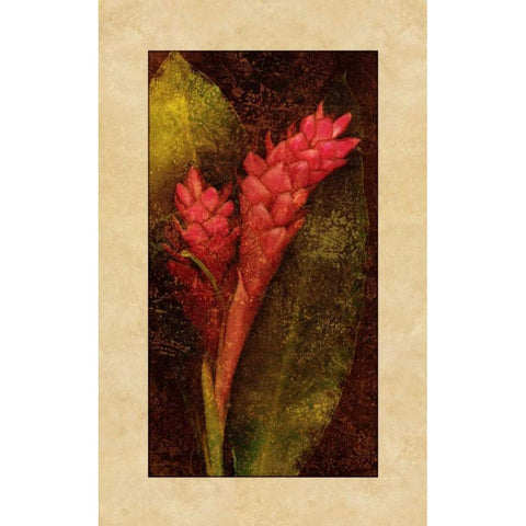 Ginger White Modern Wood Framed Art Print by Seba, John