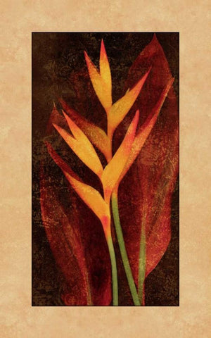 Heliconia Black Ornate Wood Framed Art Print with Double Matting by Seba, John