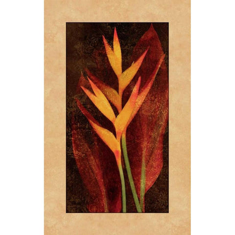 Heliconia White Modern Wood Framed Art Print by Seba, John