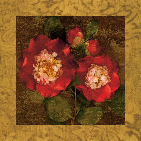 Red Camellias II Black Modern Wood Framed Art Print with Double Matting by Seba, John