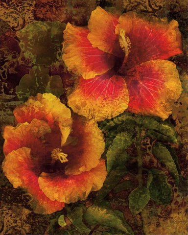 Hibiscus I White Modern Wood Framed Art Print with Double Matting by Seba, John