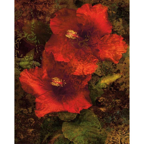 Hibiscus II Black Modern Wood Framed Art Print by Seba, John