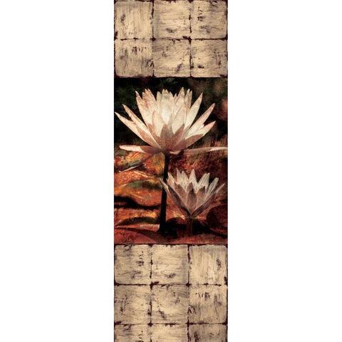 Waterlily Panel II Black Modern Wood Framed Art Print with Double Matting by Seba, John