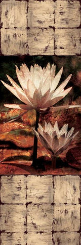 Waterlily Panel II Black Ornate Wood Framed Art Print with Double Matting by Seba, John