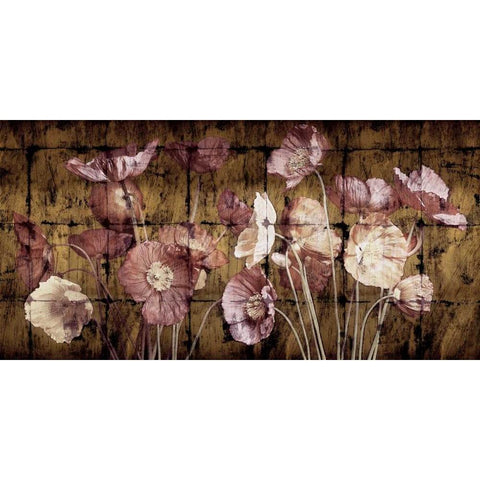 Poppies on Gold White Modern Wood Framed Art Print by Seba, John