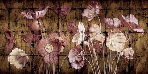 Poppies on Gold White Modern Wood Framed Art Print with Double Matting by Seba, John