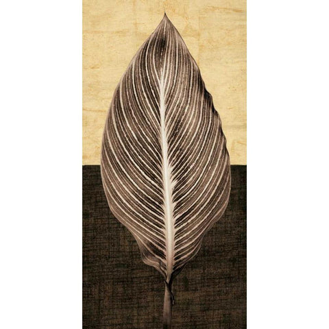 Palm Leaf I Black Modern Wood Framed Art Print with Double Matting by Seba, John