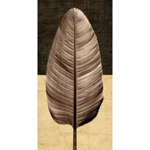 Palm Leaf II Black Modern Wood Framed Art Print with Double Matting by Seba, John