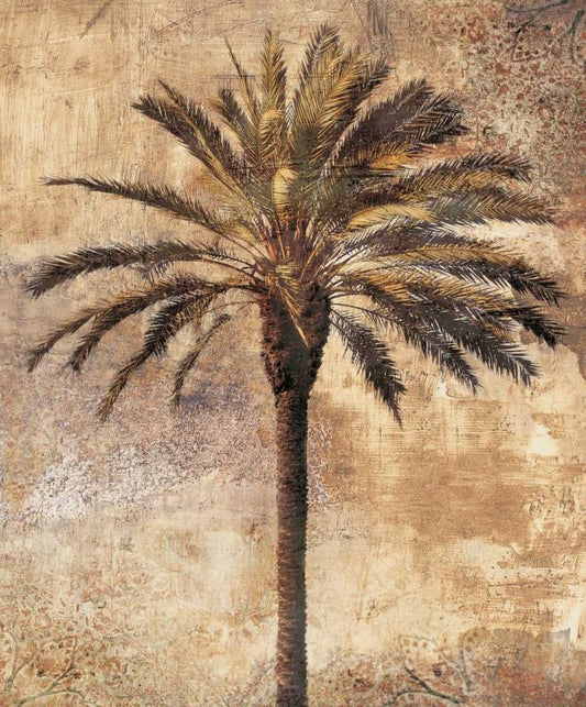 Image Only
