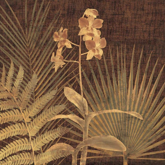 Image Only