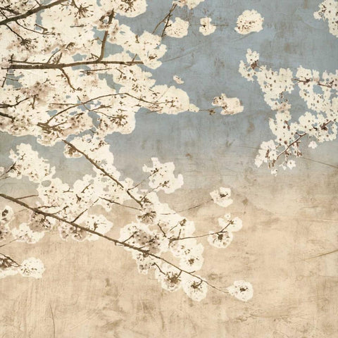 Cherry Blossoms II White Modern Wood Framed Art Print by Seba, John
