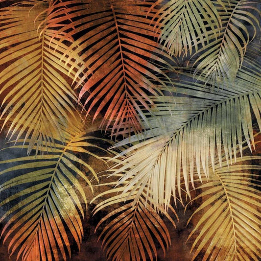 Image Only