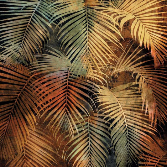 Image Only