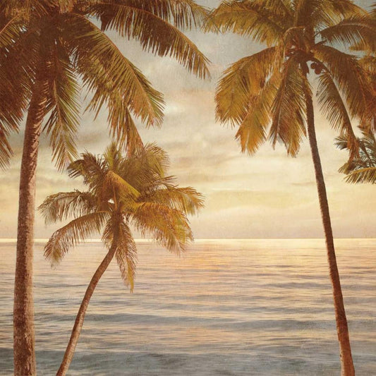 Image Only