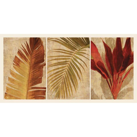 Palm Vista I White Modern Wood Framed Art Print by Seba, John