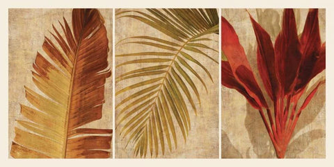 Palm Vista I Black Ornate Wood Framed Art Print with Double Matting by Seba, John