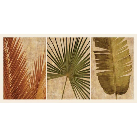 Palm Vista II Gold Ornate Wood Framed Art Print with Double Matting by Seba, John