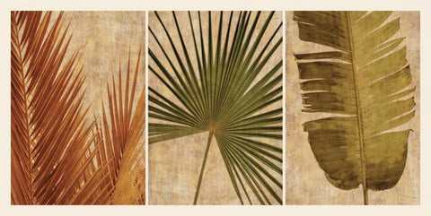 Palm Vista II Black Ornate Wood Framed Art Print with Double Matting by Seba, John