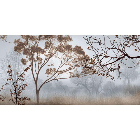 Early Morning Mist II Gold Ornate Wood Framed Art Print with Double Matting by Seba, John