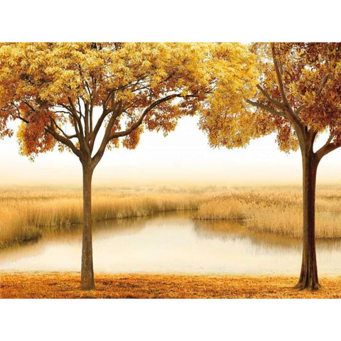 Golden Morning II Black Modern Wood Framed Art Print with Double Matting by Seba, John