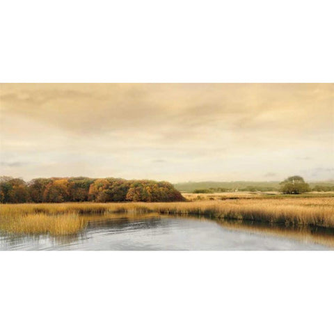 Ripples On the Water Black Modern Wood Framed Art Print with Double Matting by Seba, John