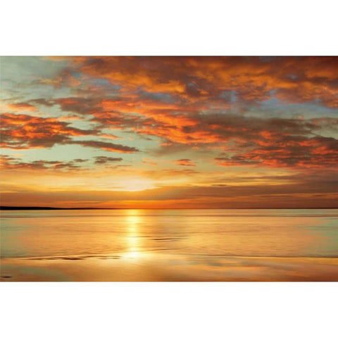 Sunlit White Modern Wood Framed Art Print by Seba, John